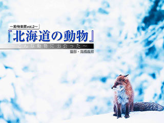 Click image to view full cover